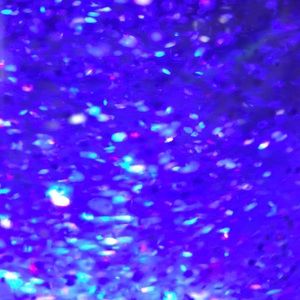 Meet your Posher, Ellena